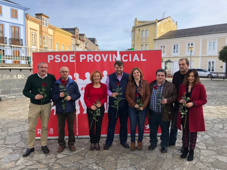 Carmen Veiga repetirá como candidata do PSOE en Barreiros