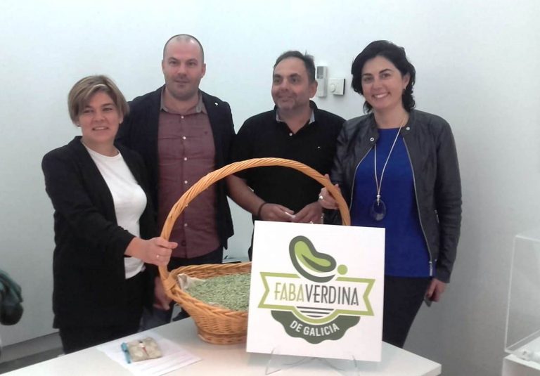 Produtores de Mondoñedo, Lourenzá e Trabada únense para crear a marca Faba Verdina de Galicia