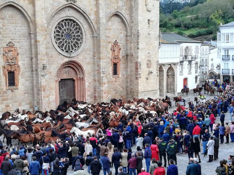 A imaxe icónica dos cabalos na Praza da Catedral e o pregón de Manuel Lourenzo abren as San Lucas