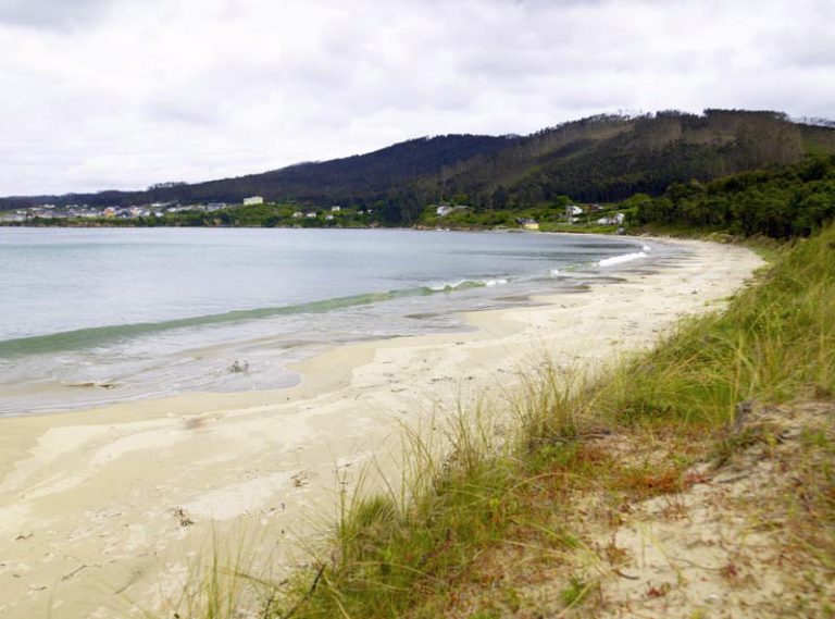 O Vicedo aclara que a Xunta retirou a recomendación de non bañarse na praia de Arealonga