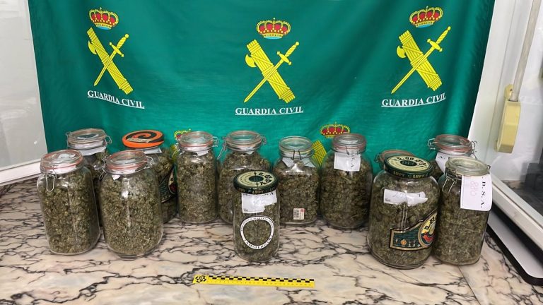 Detida unha veciña do Valadouro por unha plantación de cannabis con máis de 200 xermolos