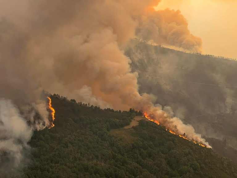 A vaga de incendios deixa na provincia ao redor de 10.000 hectáreas calcinadas
