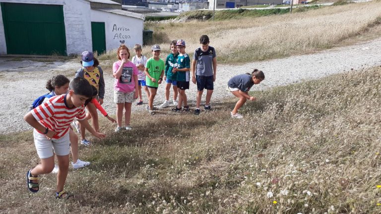 Nenos e nenas de Burela aprenden a recoñecer as características da flora litoral do concello
