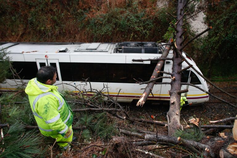 Interrompido o tráfico na liña Ferrol-Oviedo tras caer unha árbore na vía